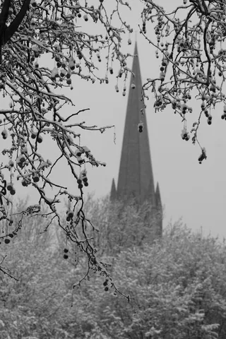 The Church through the Trees