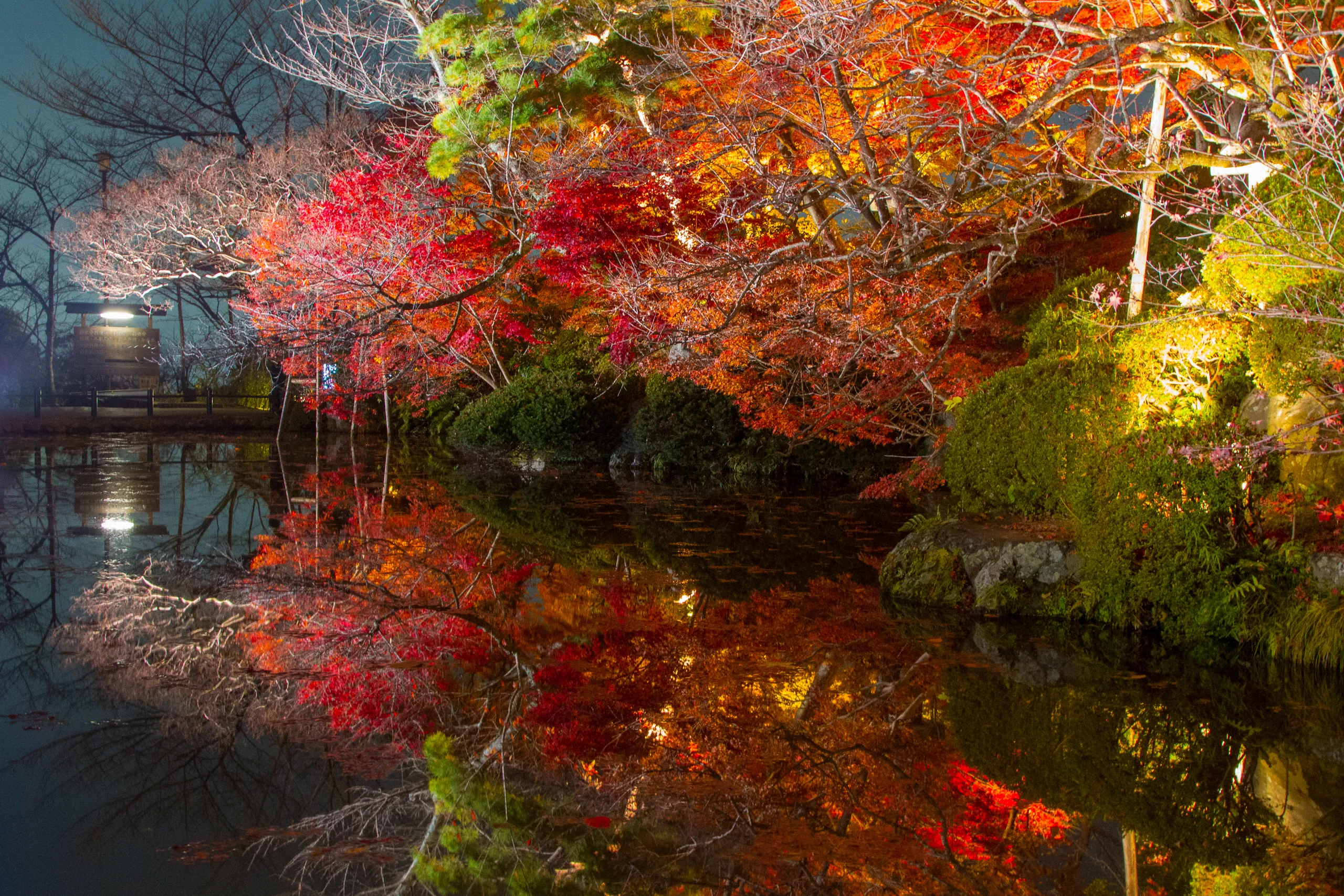 Gardens of Kiyomizu-dera Temple, Kyoto