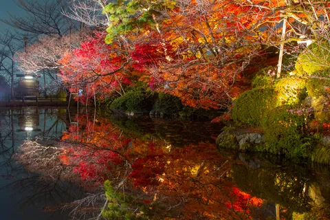 Gardens of Kiyomizu-dera Temple, Kyoto