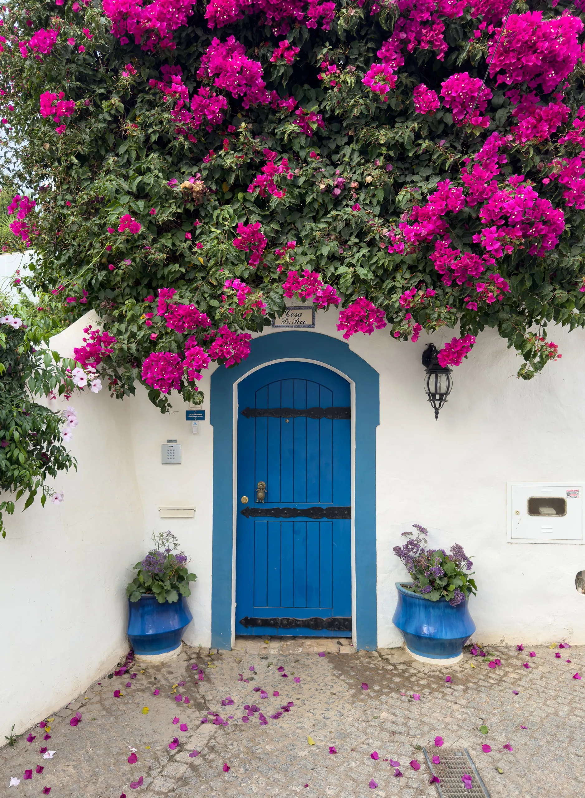 Bougainvilla and the Blue Door, Burgau