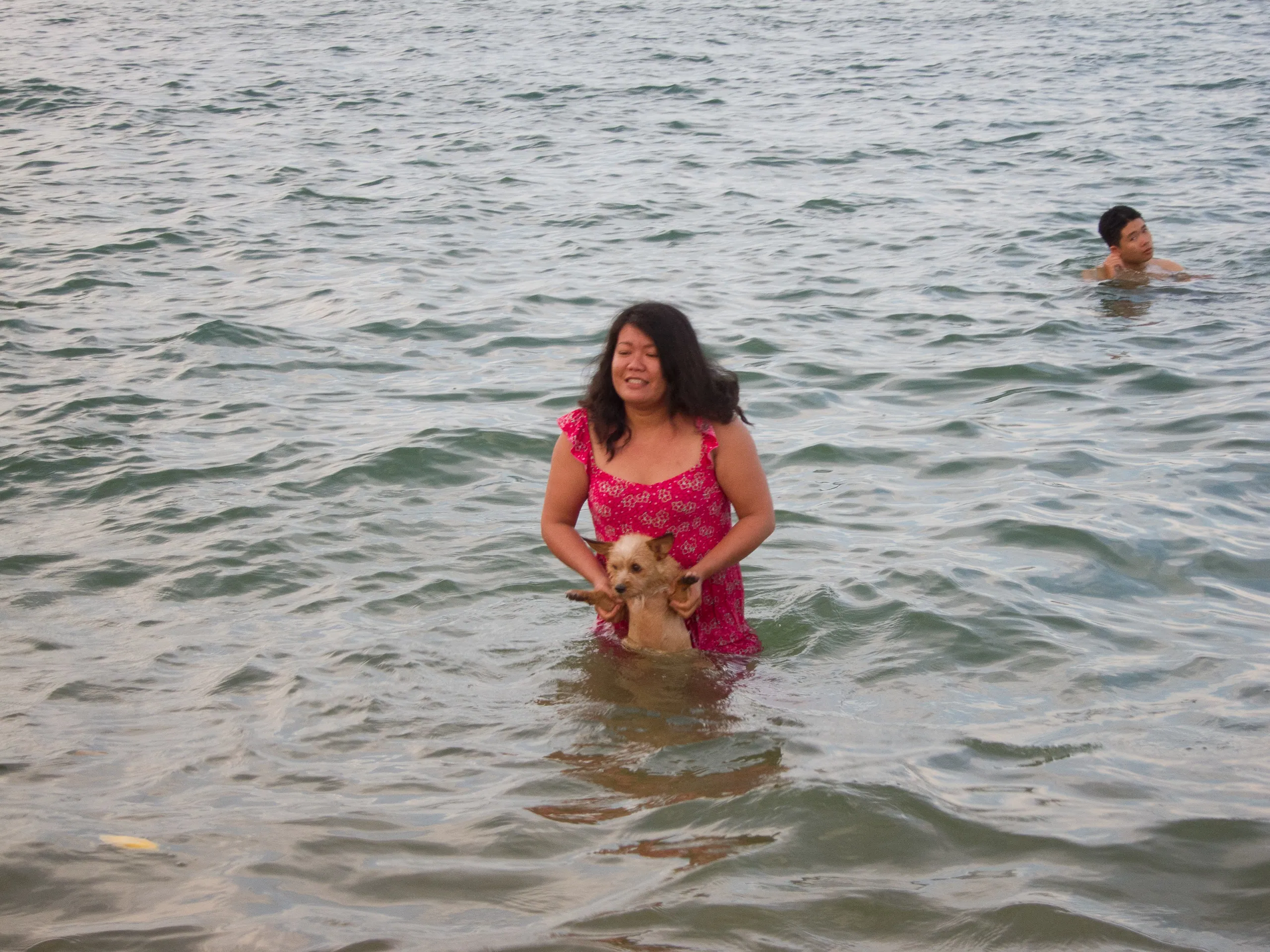 Bathing her best friend, Nha Trang Beach