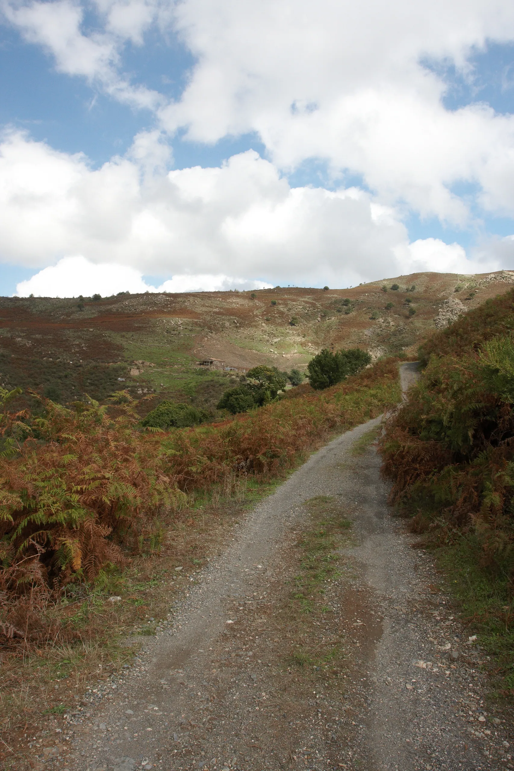 Farm Road, Sicily