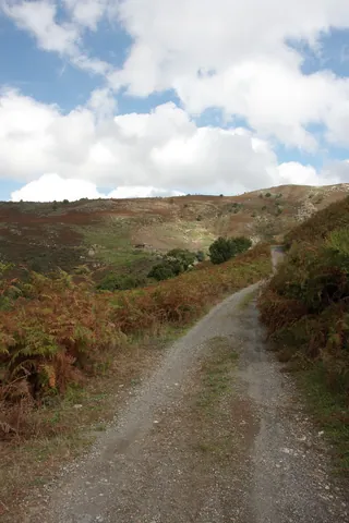 Farm Road, Sicily