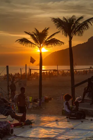 Palm Sunset, Ipanema