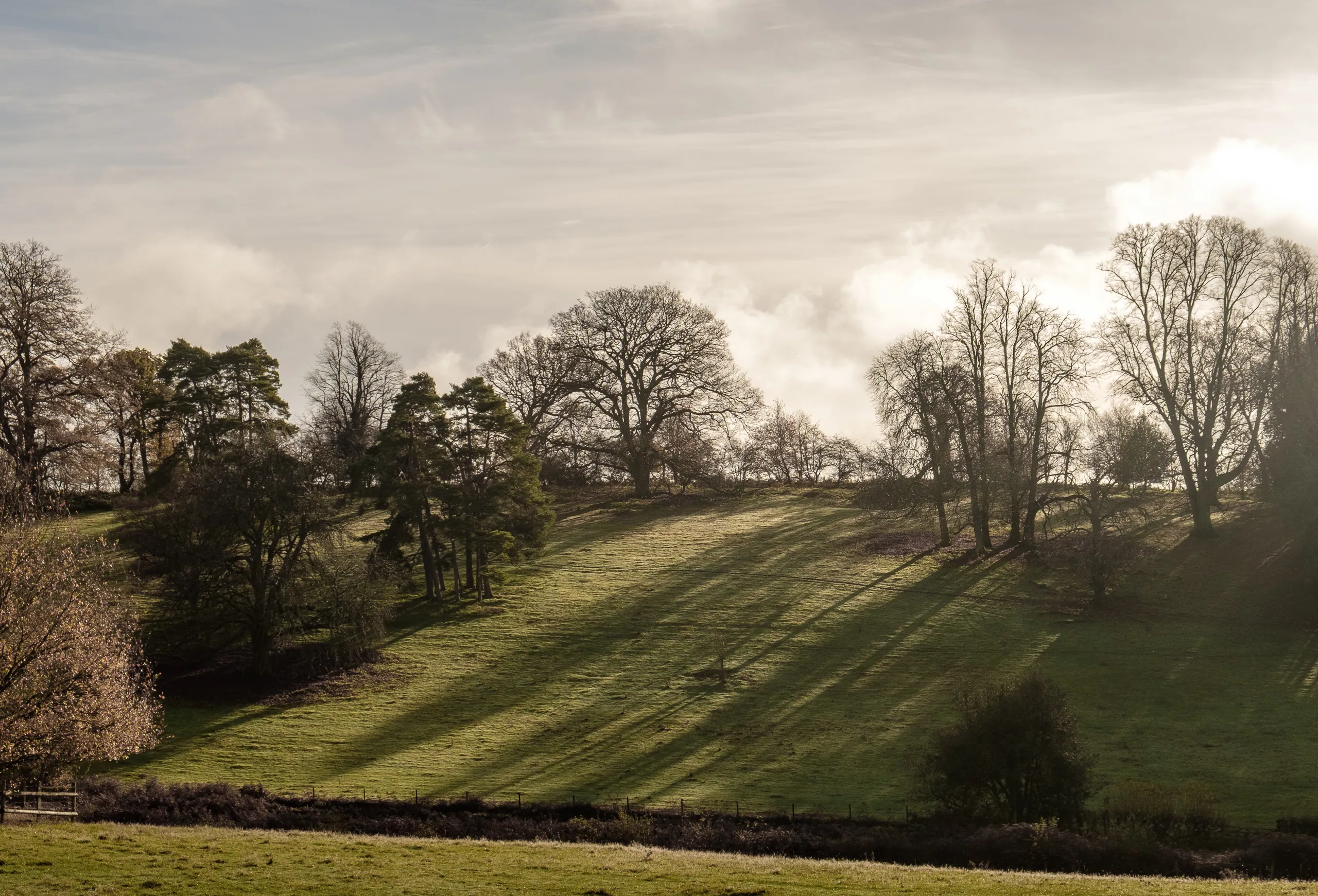 Greys Court