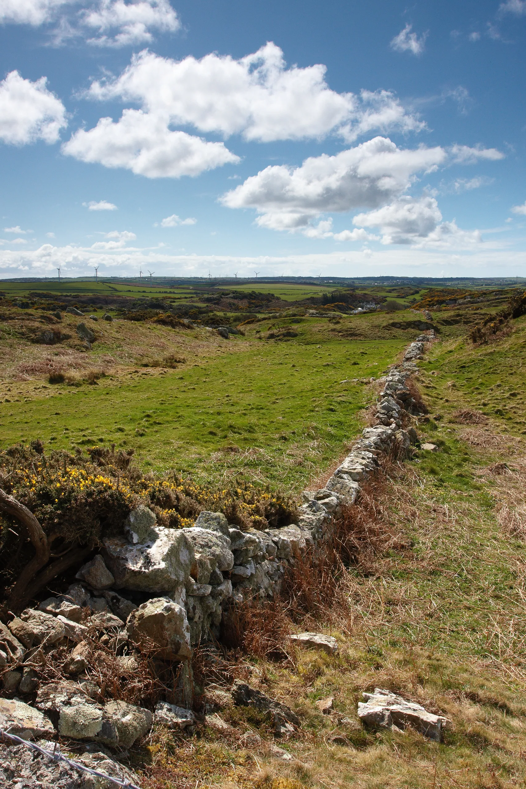 Hill above Llanlleiana, Anglesey