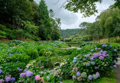 Trebah Gardens