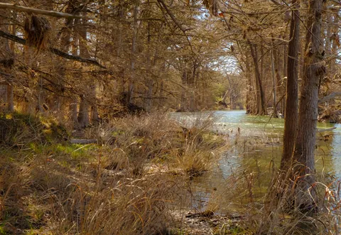 Guadalupe River, Rusty Bend Ranch, Comfort, TX