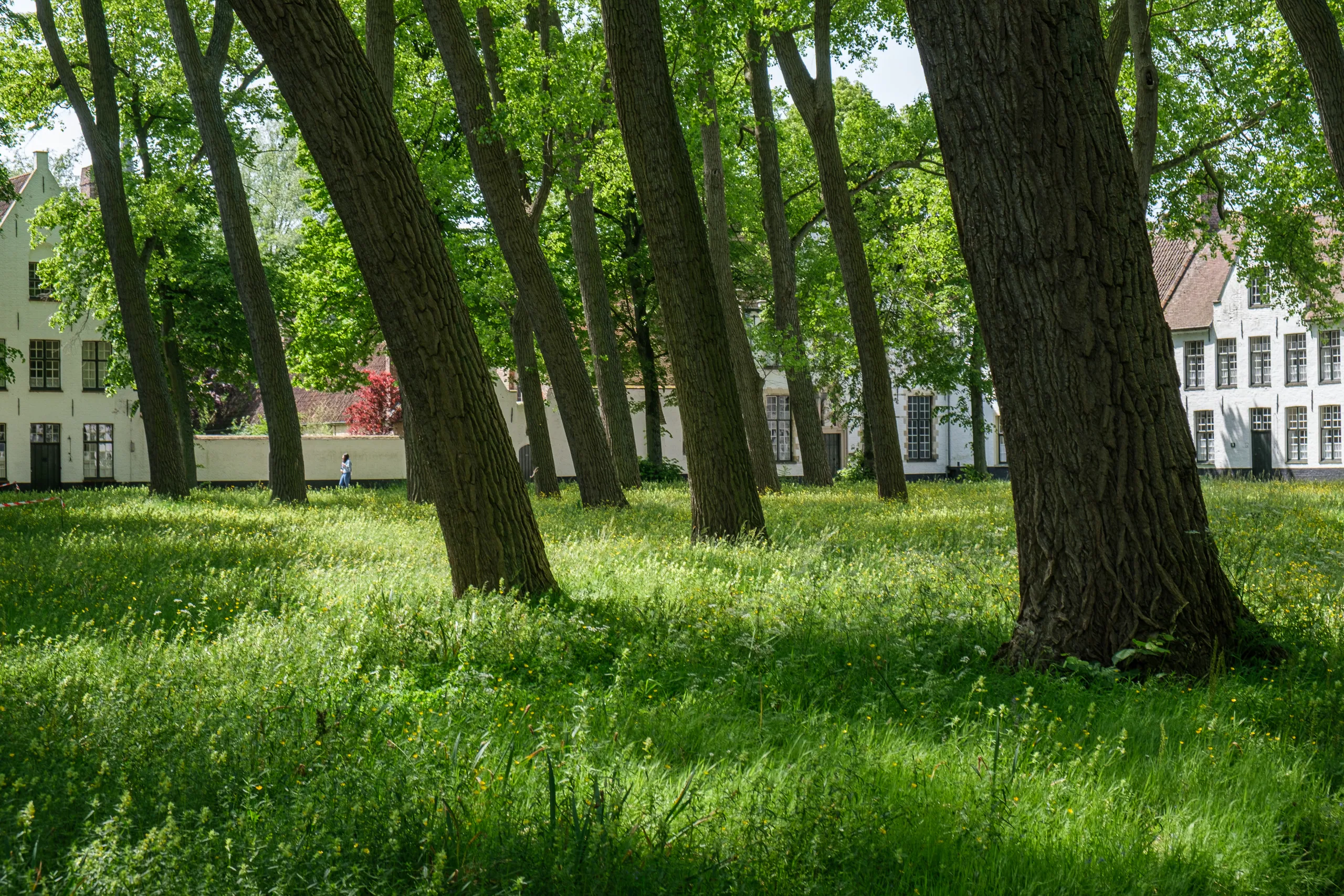 Garden of the Beguinage, Bruges