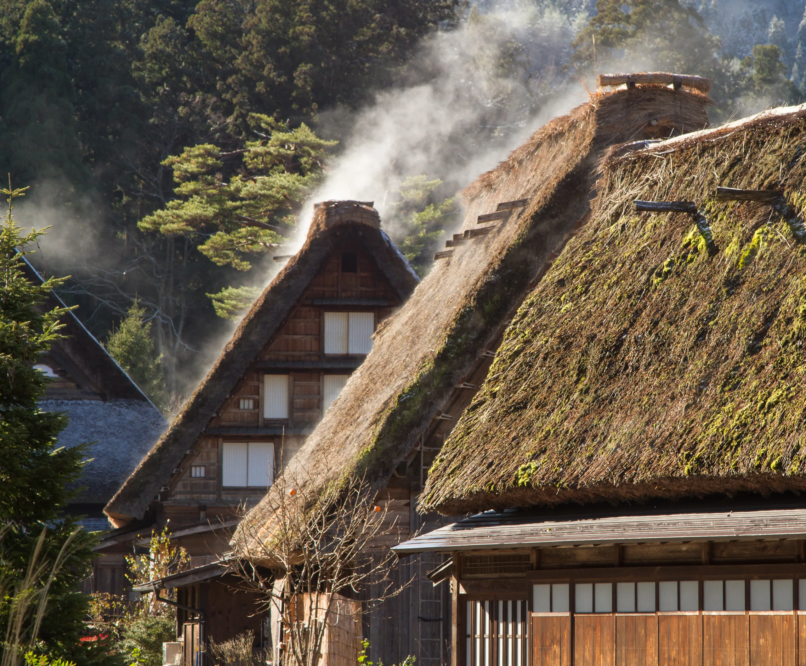Gassho-zukuri farmhouses, Ogimachi, Shirakawa-go