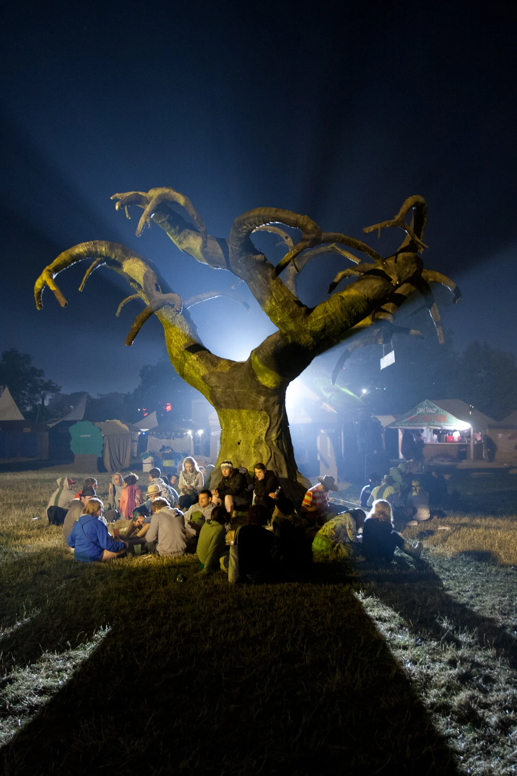 The tree OF DOOM, Green Futures Field