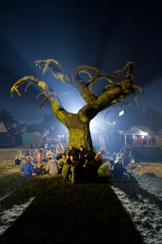 The tree OF DOOM, Green Futures Field