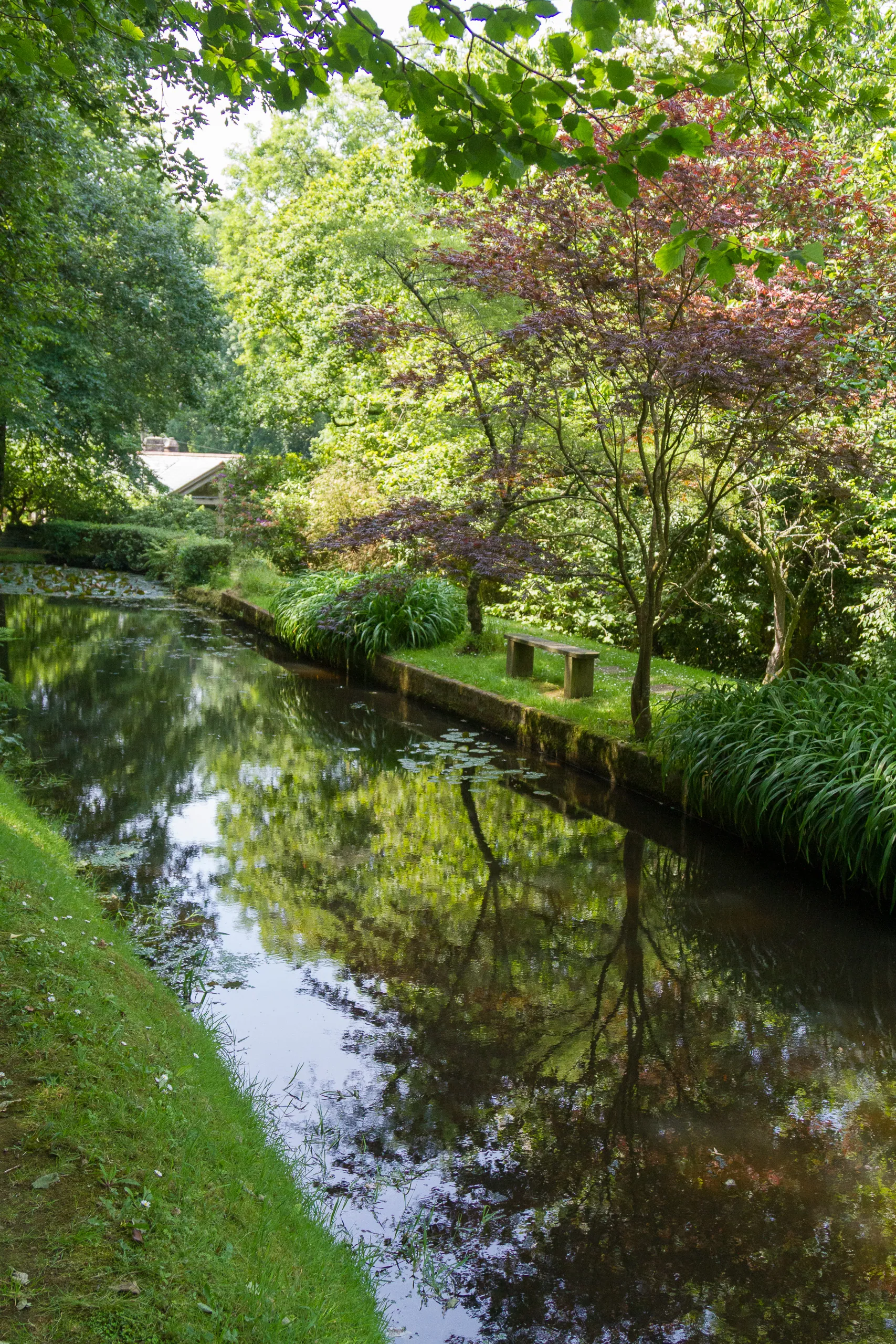 Docton Mill Gardens