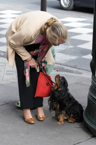 Ecoutez, chien!