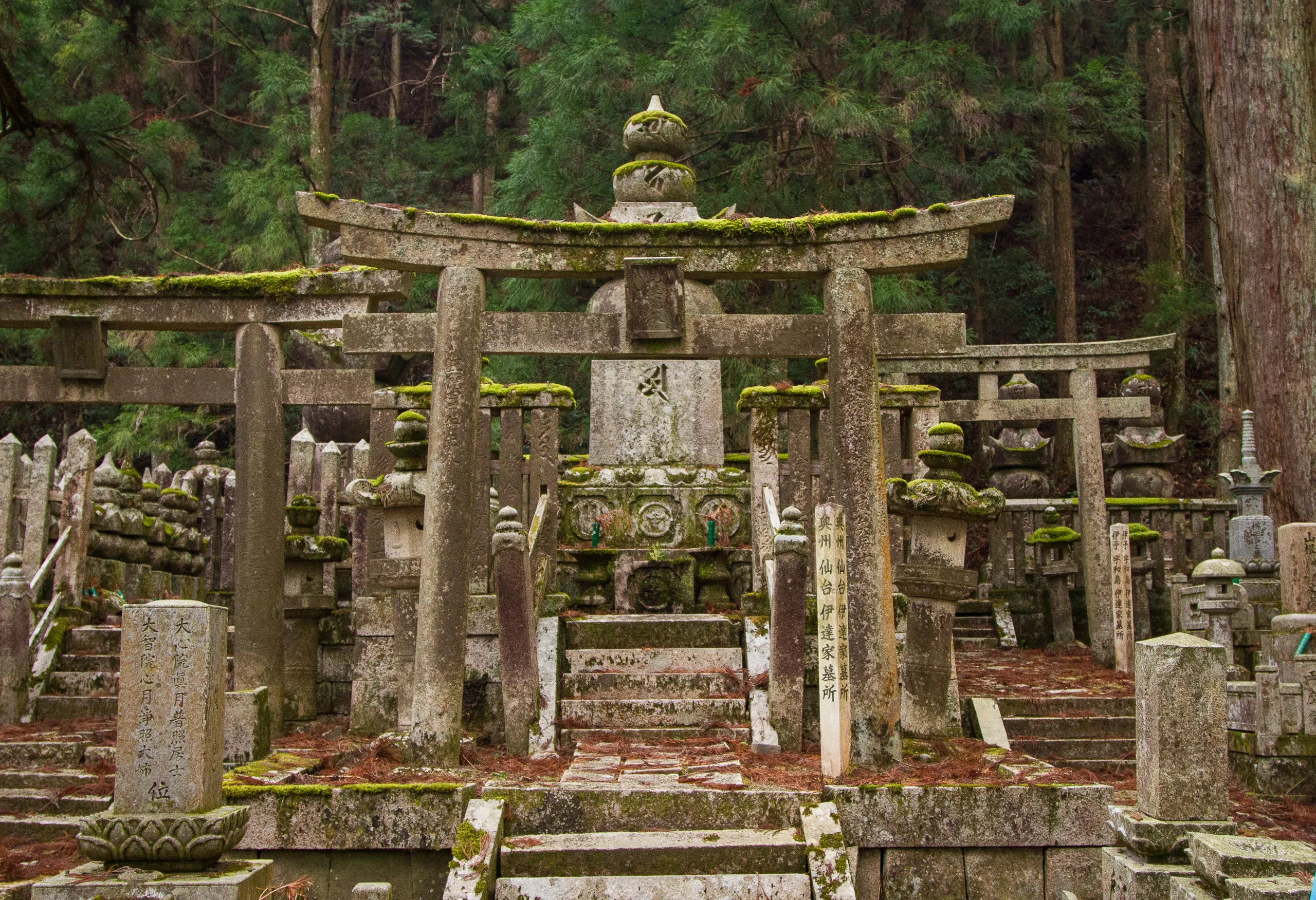 Torii gates and graves, Oku-no-in Cemetery, Koya-san