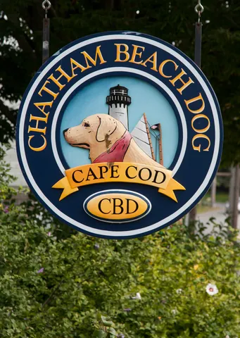 Chatham Beach Dog Sign