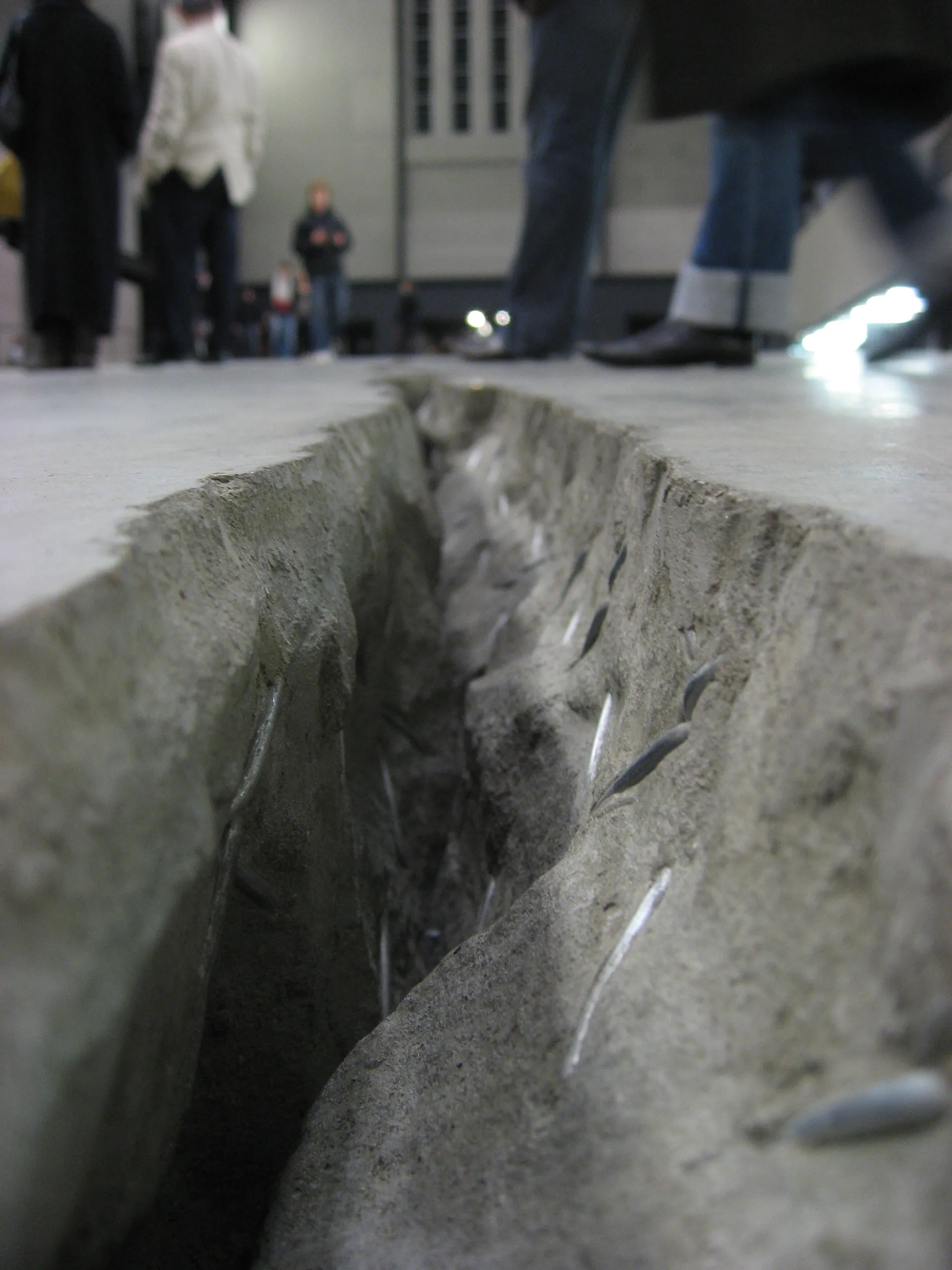 Shiboleth by Doris Salcedo