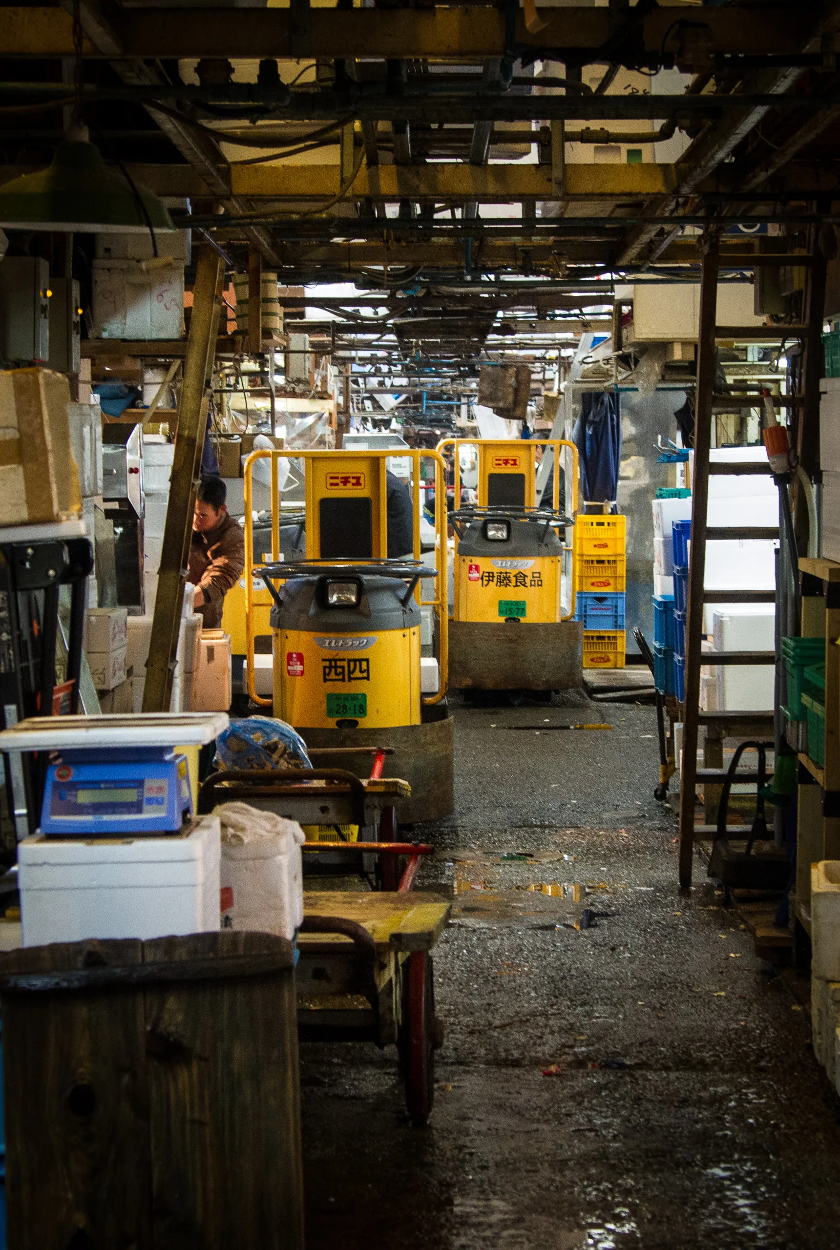 Parked carts, Tsukiji Fish Market