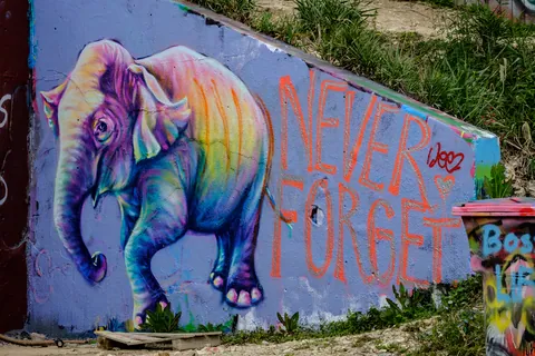 HOPE Outdoor Gallery, Austin