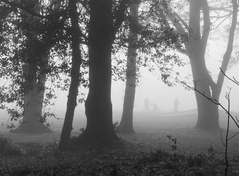 Foggy Golfers, Nettlebed