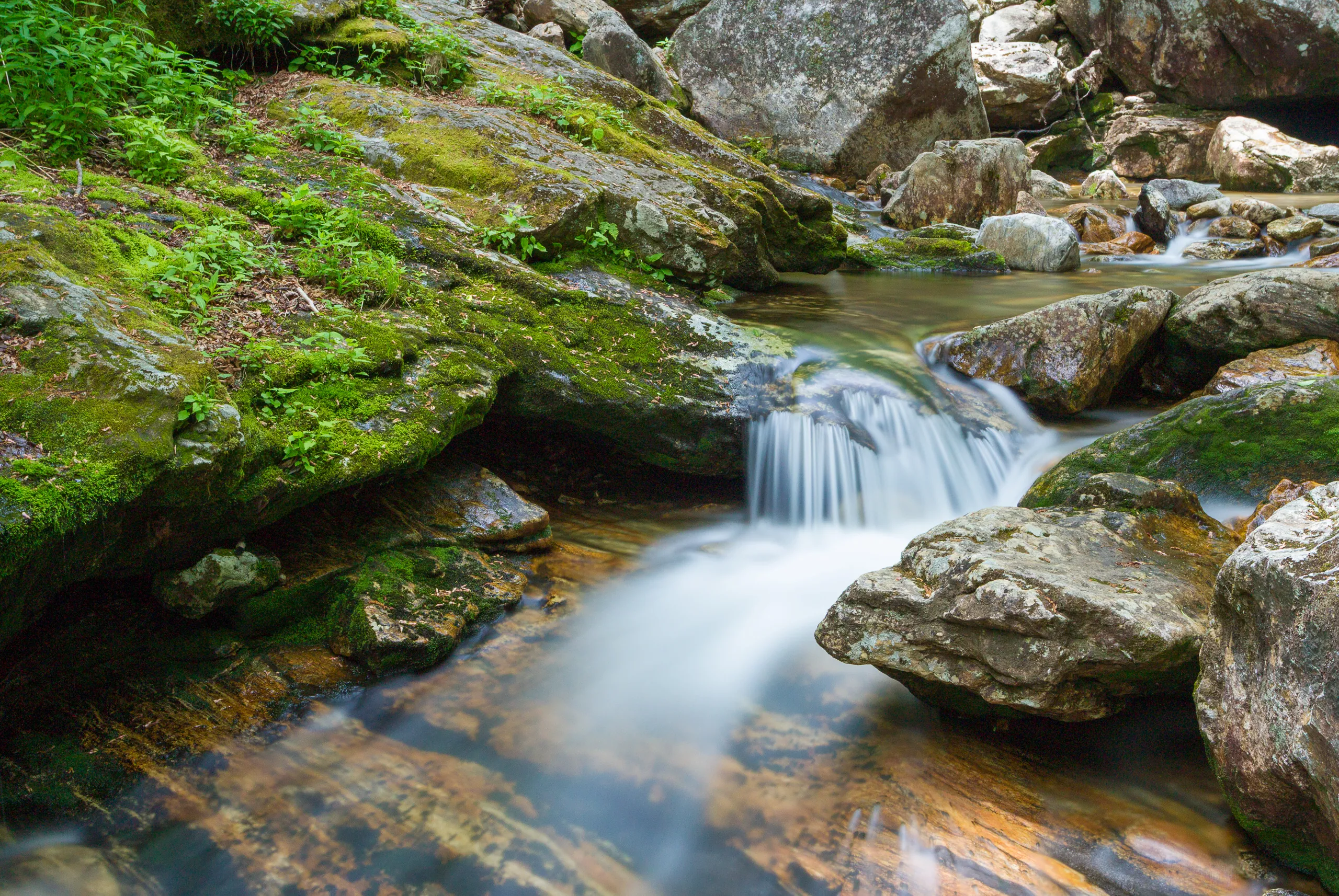 Skinny Dip Falls, Blue Ridge Parkway, North Carolina