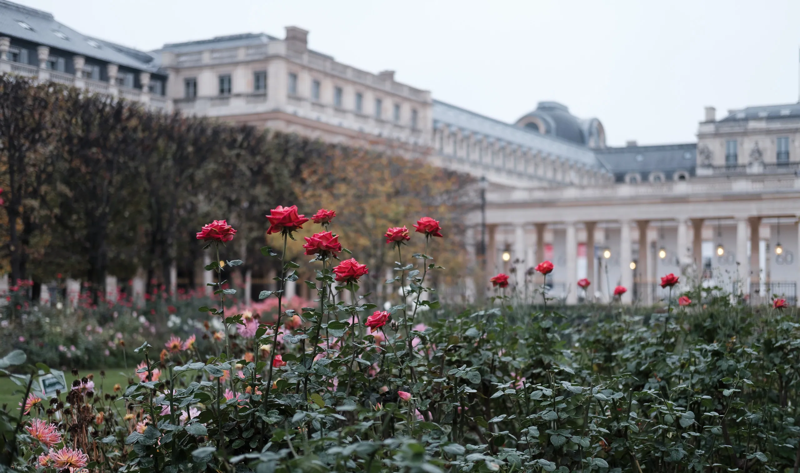 Garden of the Palais Royale