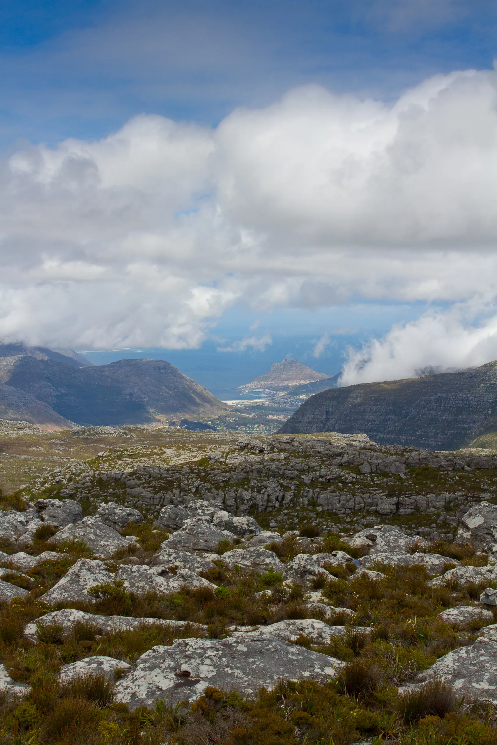 Atop Table Mountain