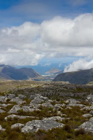 Atop Table Mountain