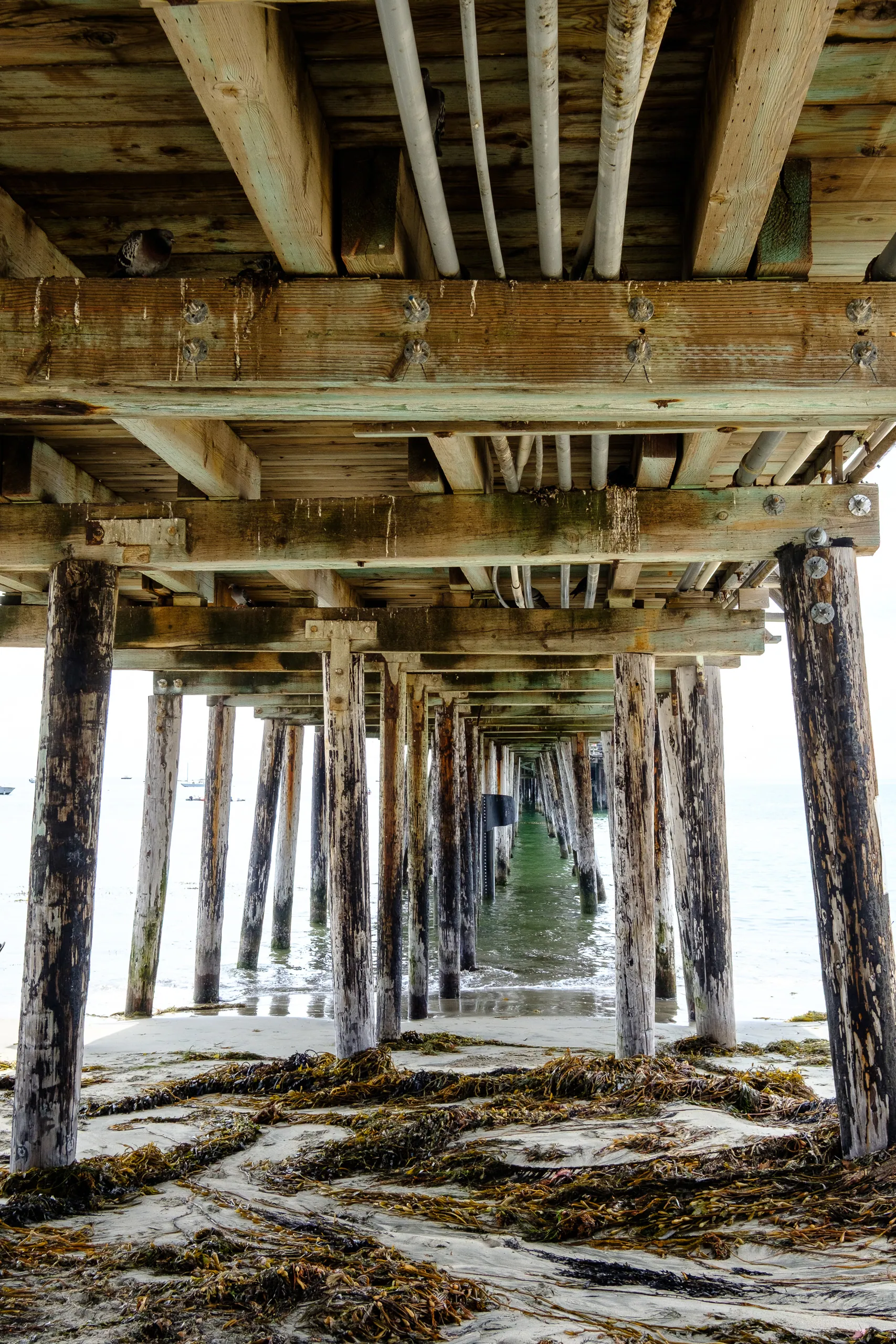 Capitola Boardwalk Underside