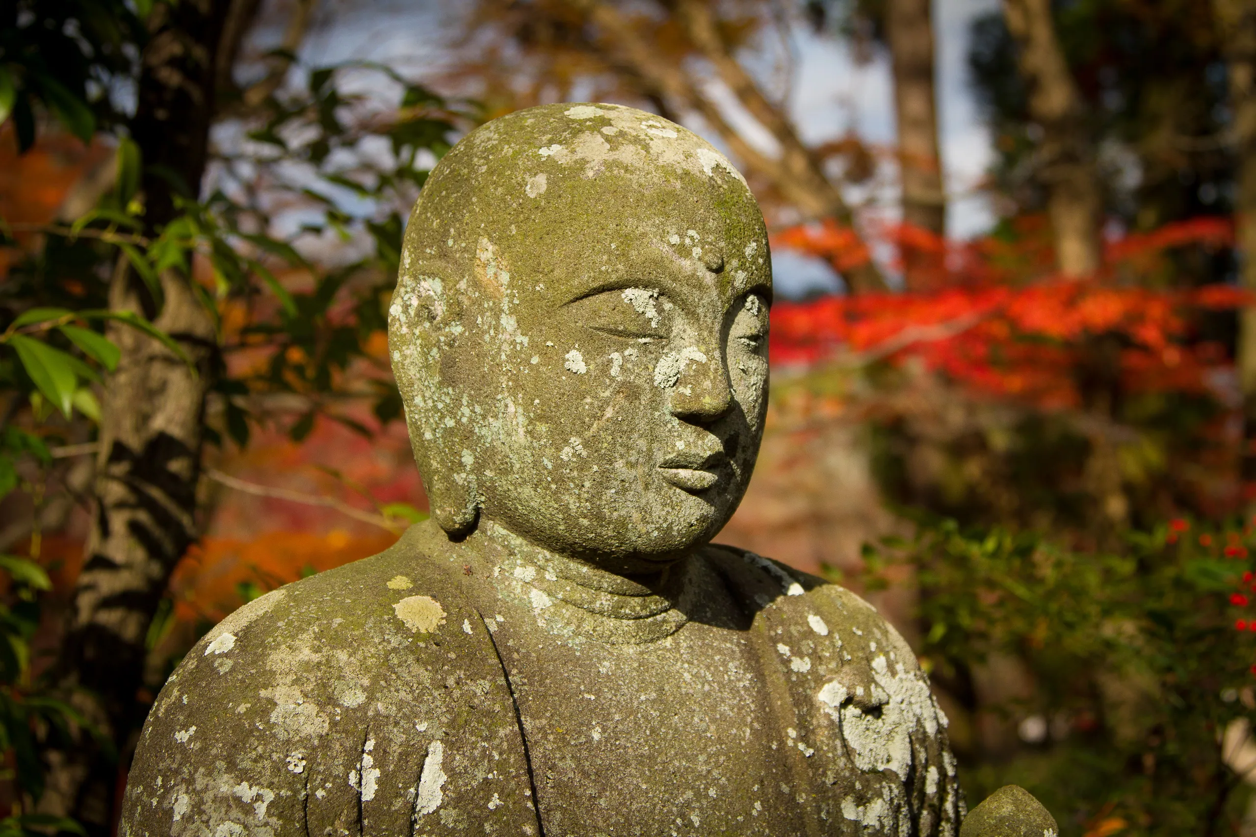 Buddha image in Eikando Temple, Kyoto