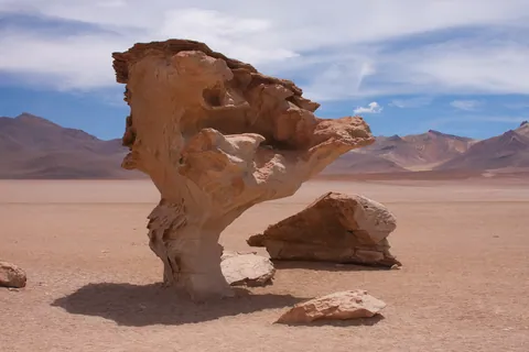 Arbol de Piedra (Stone Tree)