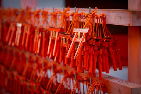 Miniature torii gates, Fushimi Inari Shrine, Kyoto