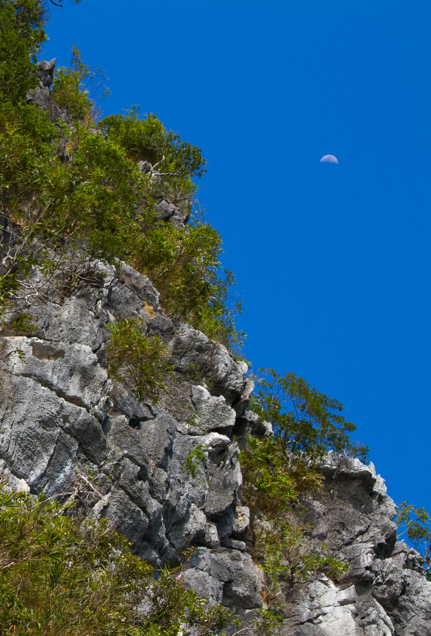 The Moon and Splendour, Ha Long Bay