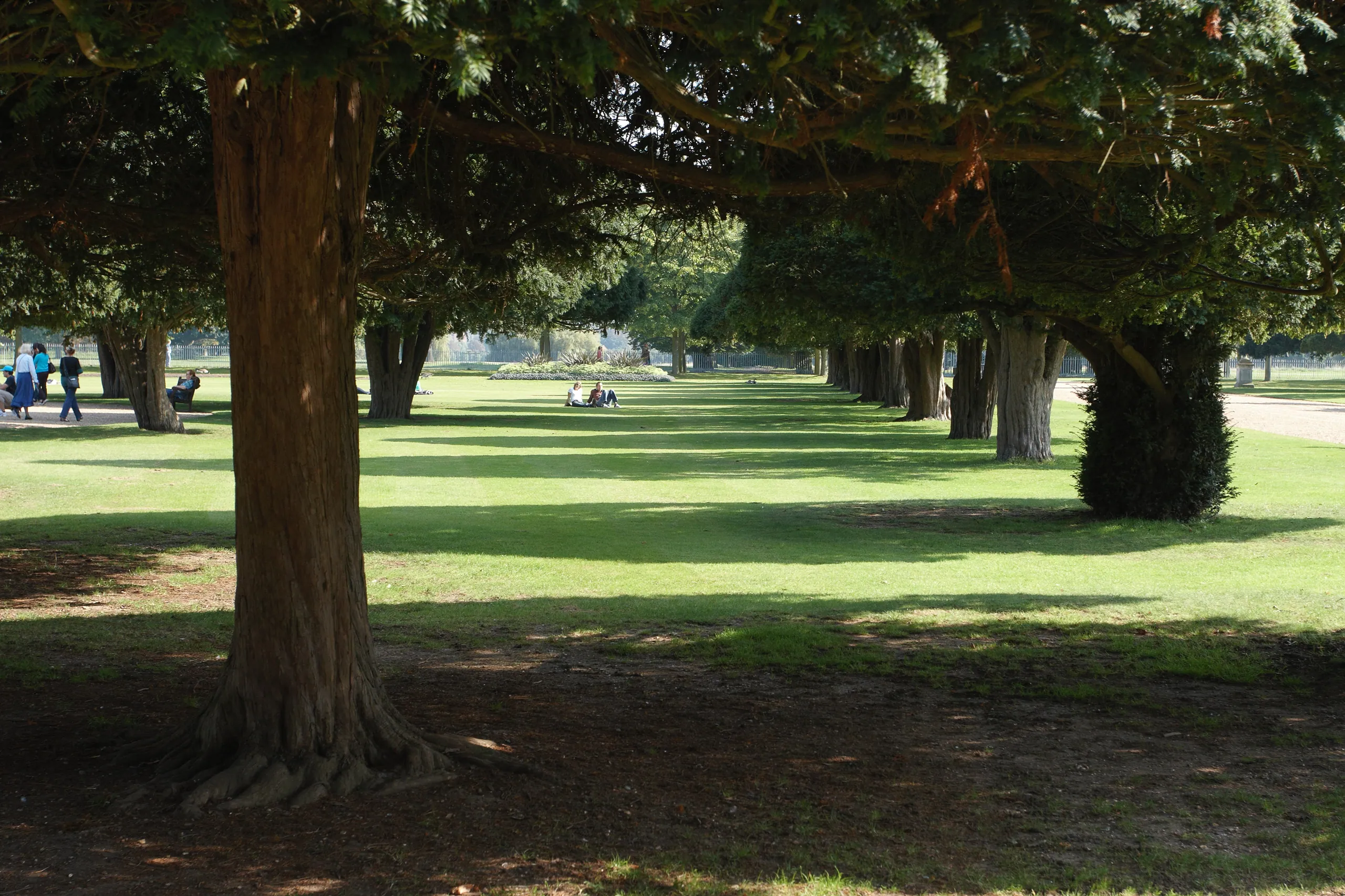 Hampton Court Palace Gardens