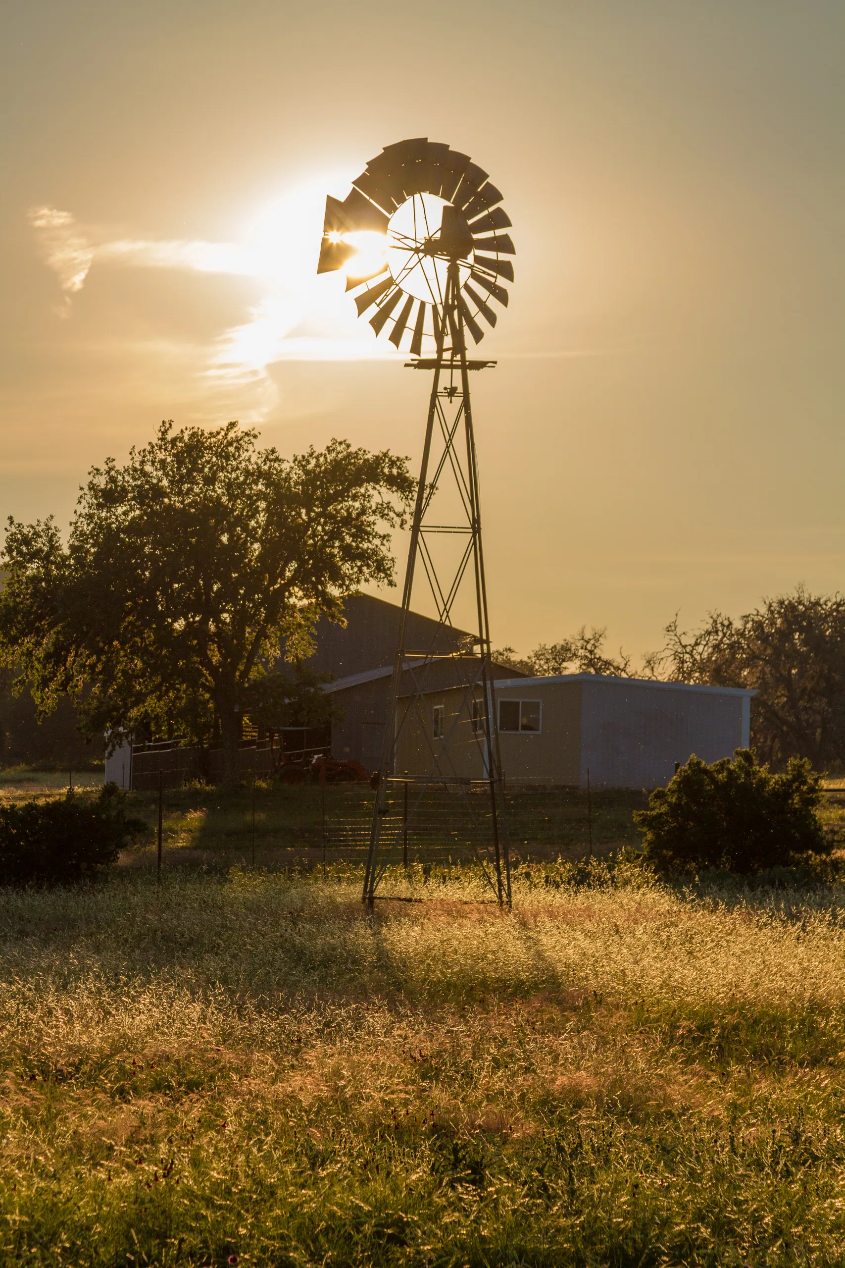Sunset Windmill, Canyon Wren Ranch, Comfort, TX