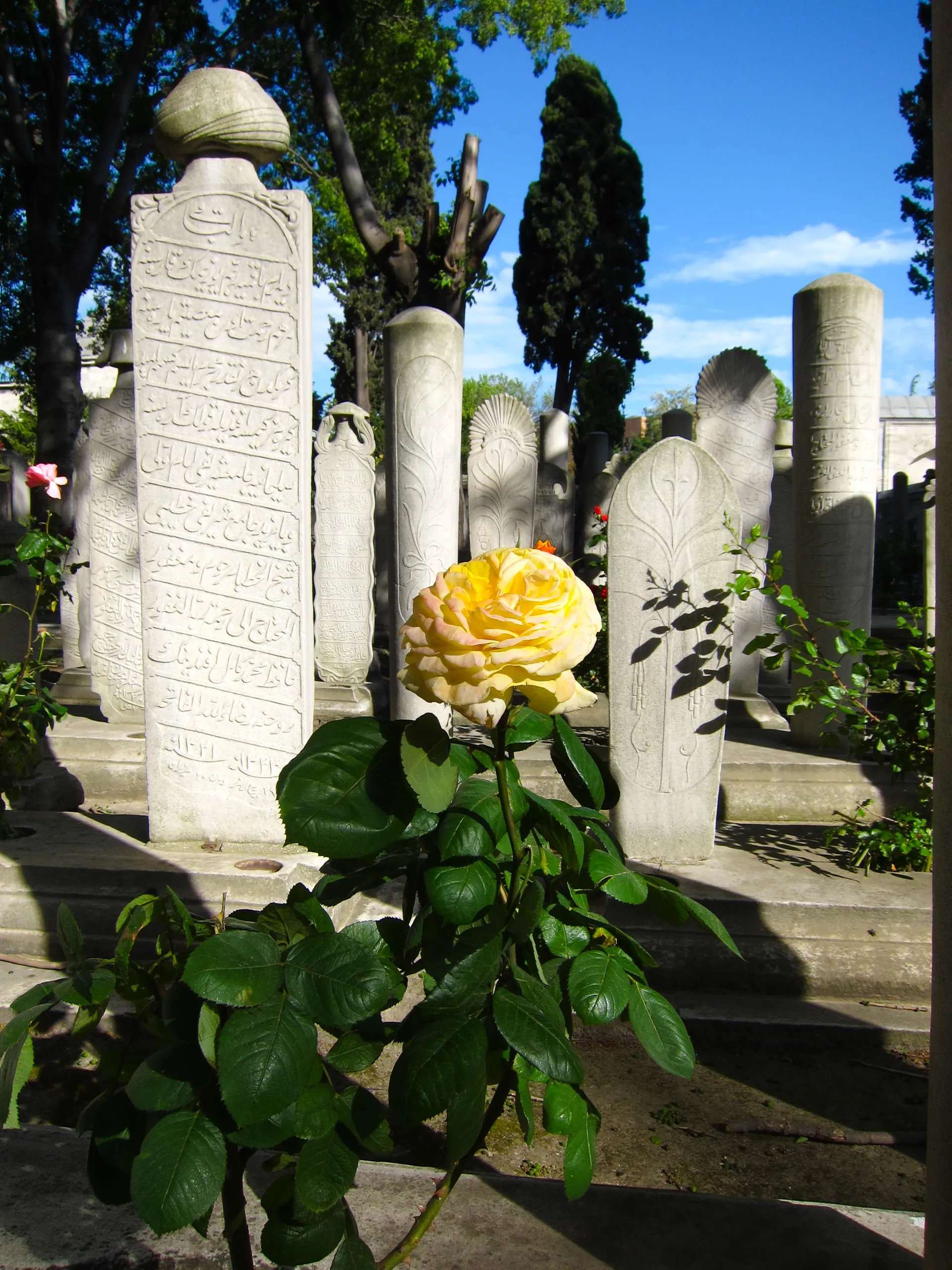 Graveyard outside the Suleymaniye Camii