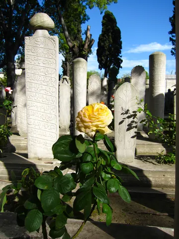 Graveyard outside the Suleymaniye Camii