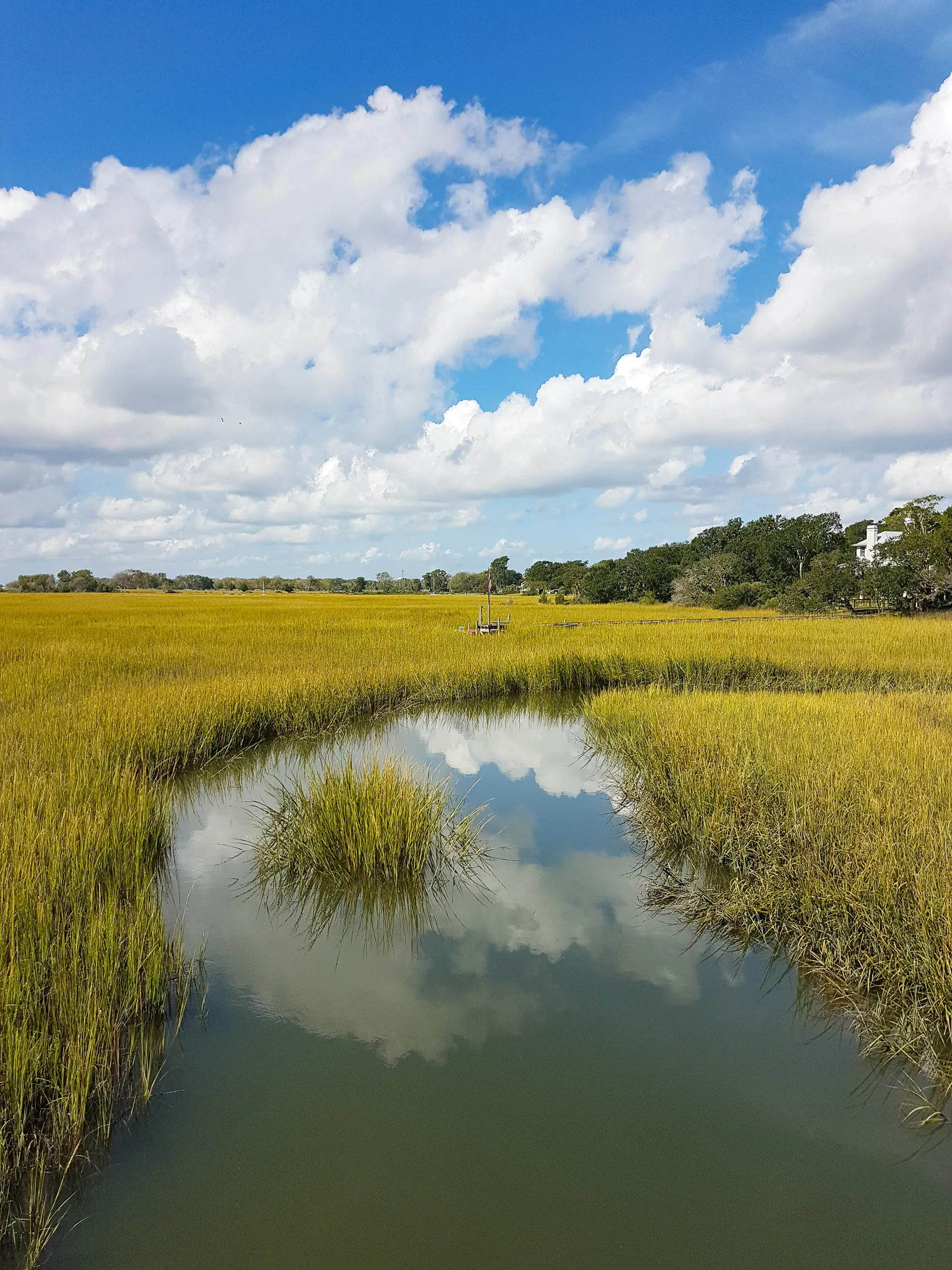 Shem Creek, Mount Pleasant, South Carolina