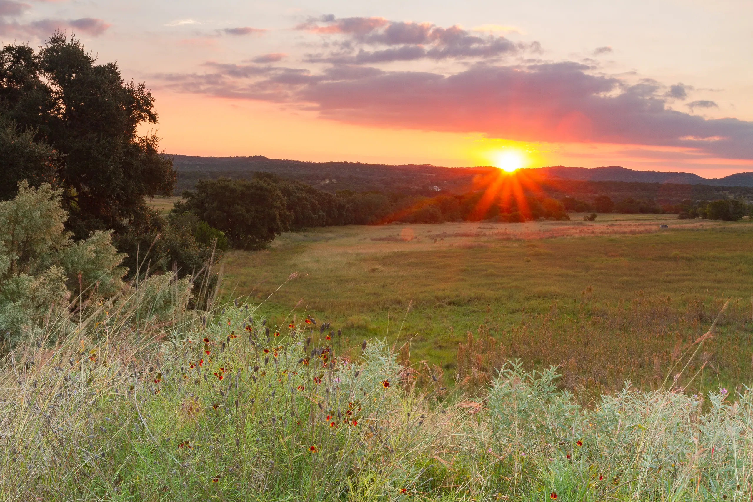 Canyon Wren Ranch - Sunset over the Meadow