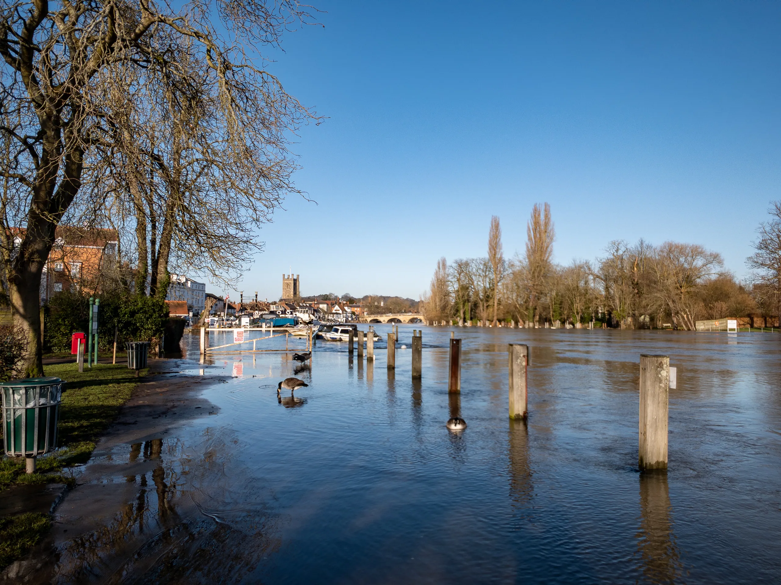 Flooded Henley, January 2020