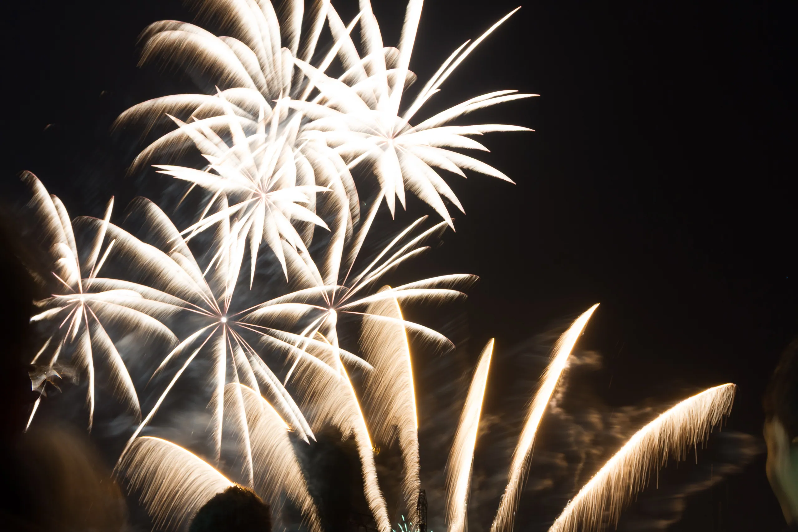 Bonfire Night Fireworks, Brockwell Park