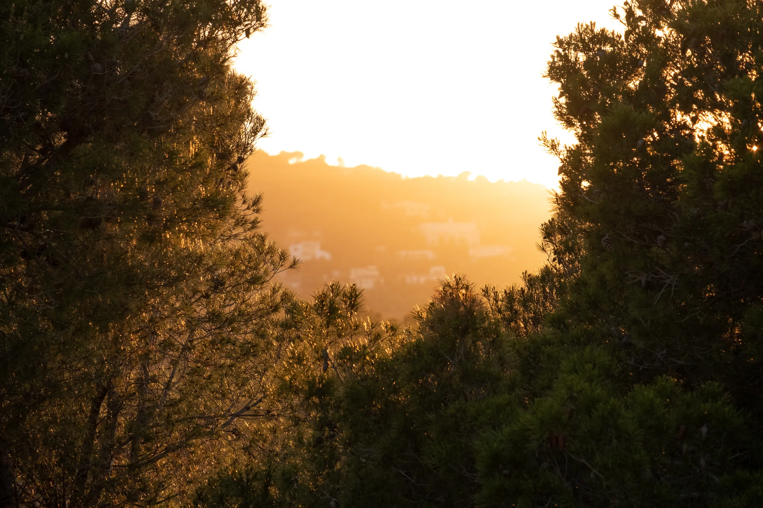 Tamariu Sunset