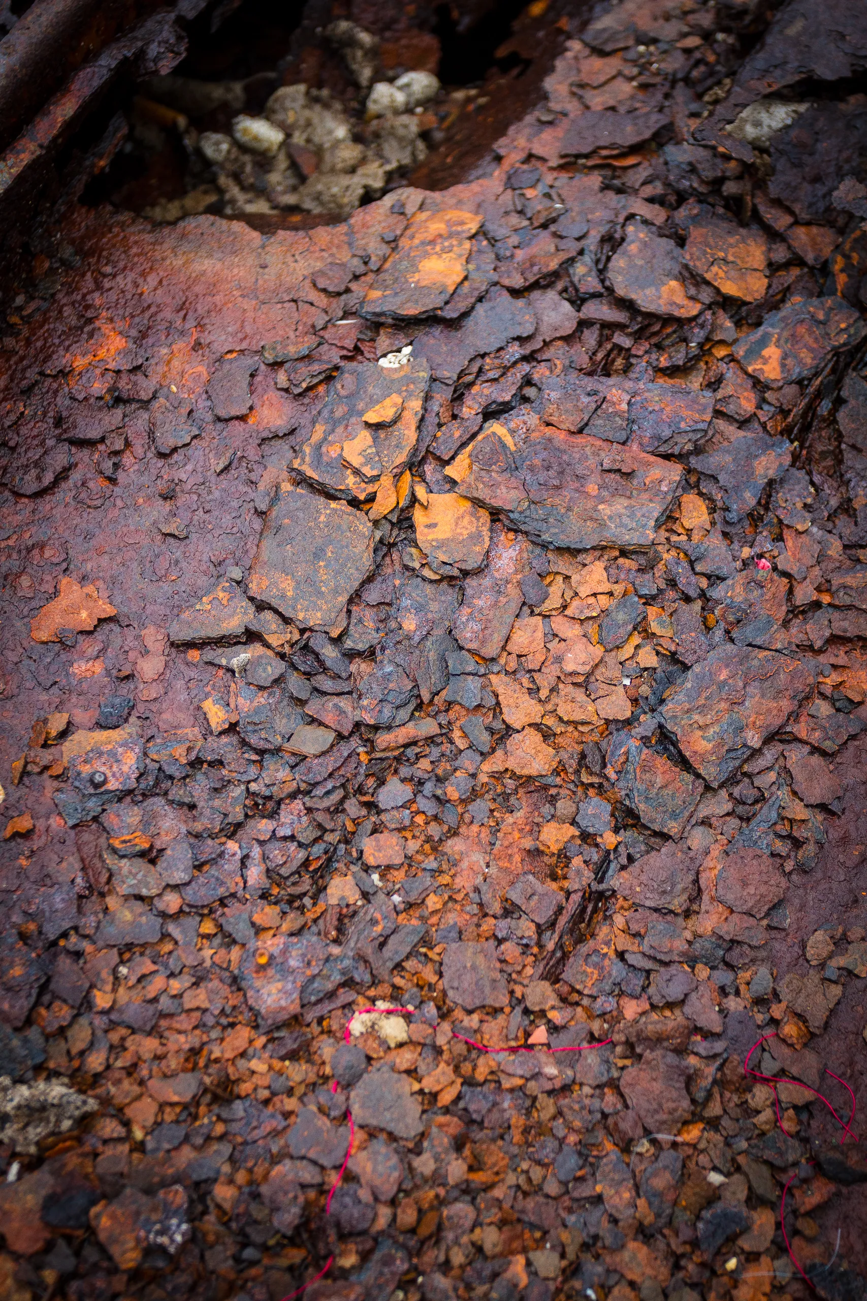 Castellamare di Golfo - Rust