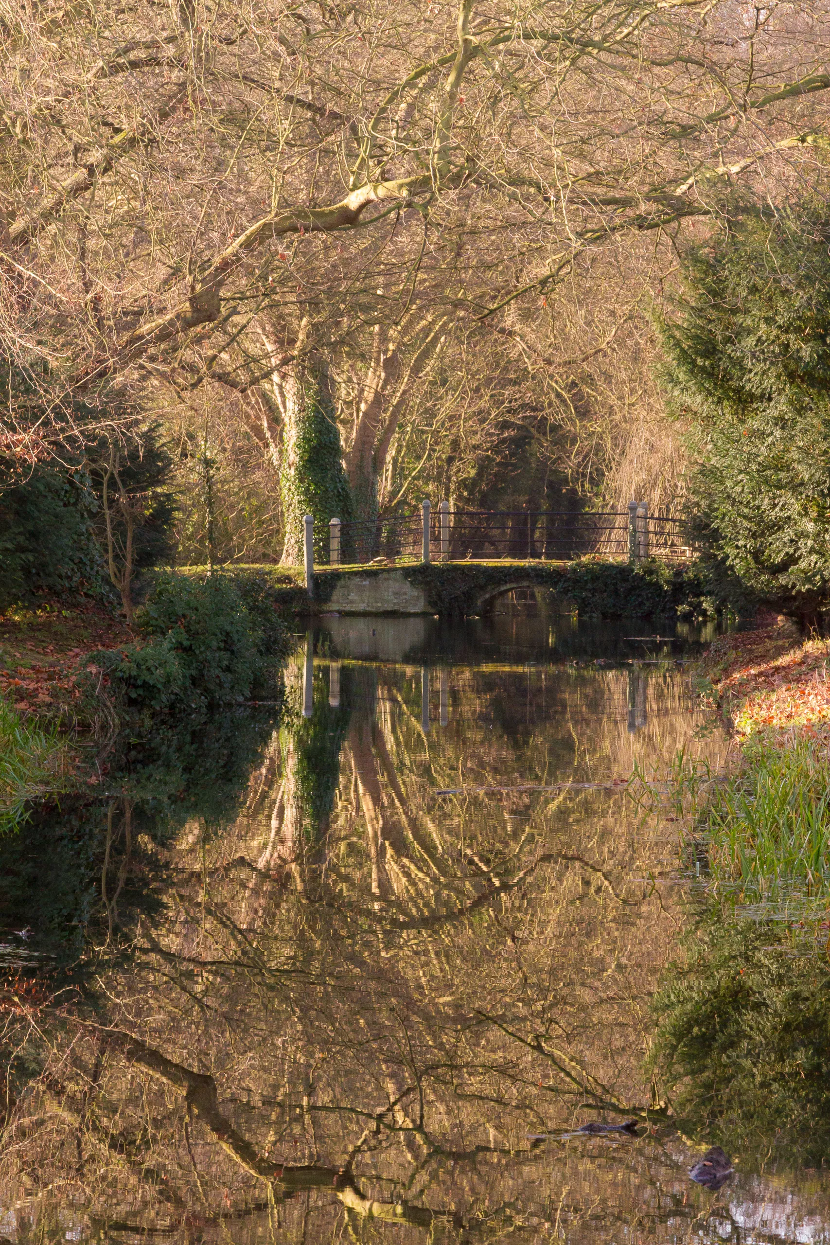 Winter Reflection at Anglesey Abbey