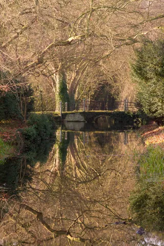 Winter Reflection at Anglesey Abbey