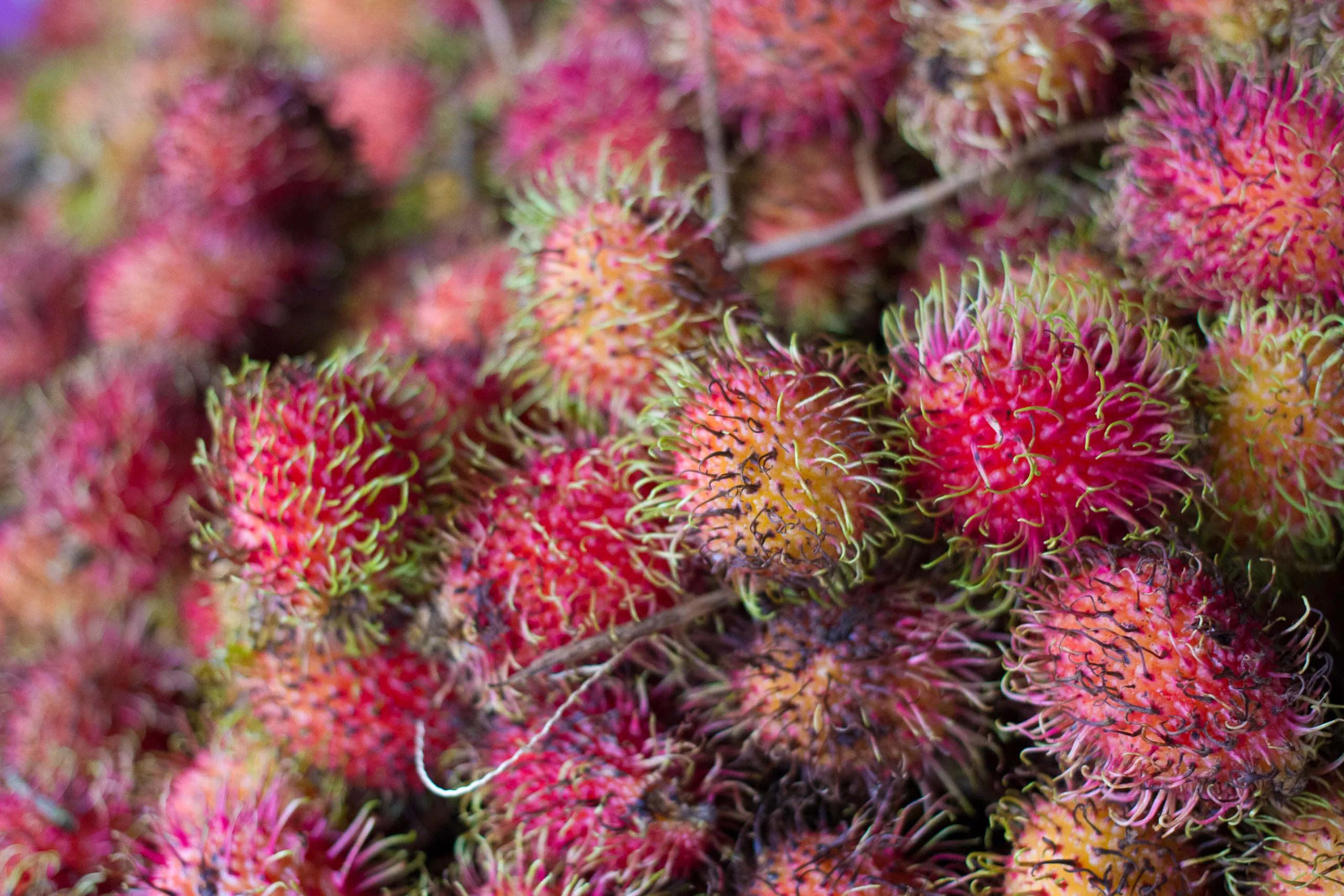 Rambutans, Dungun Market