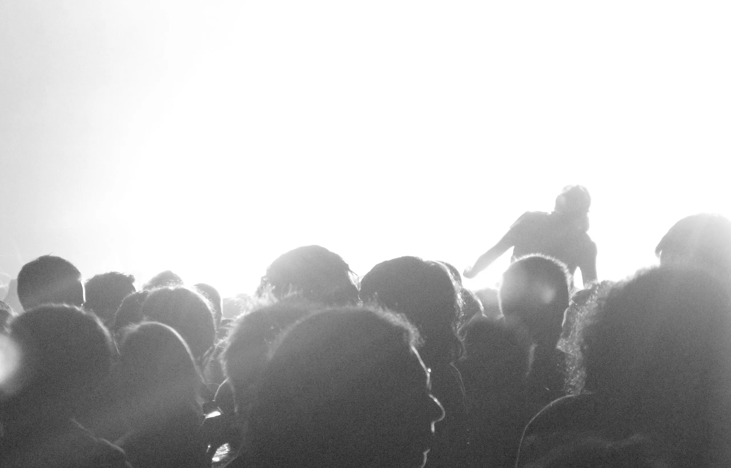 Primavera Sound 2008