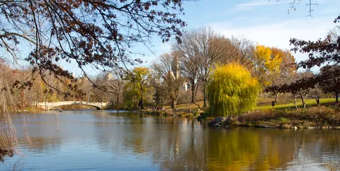 Central Park Lake