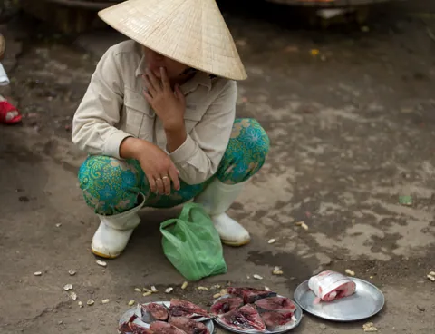 Fish seller, Hue Central Market
