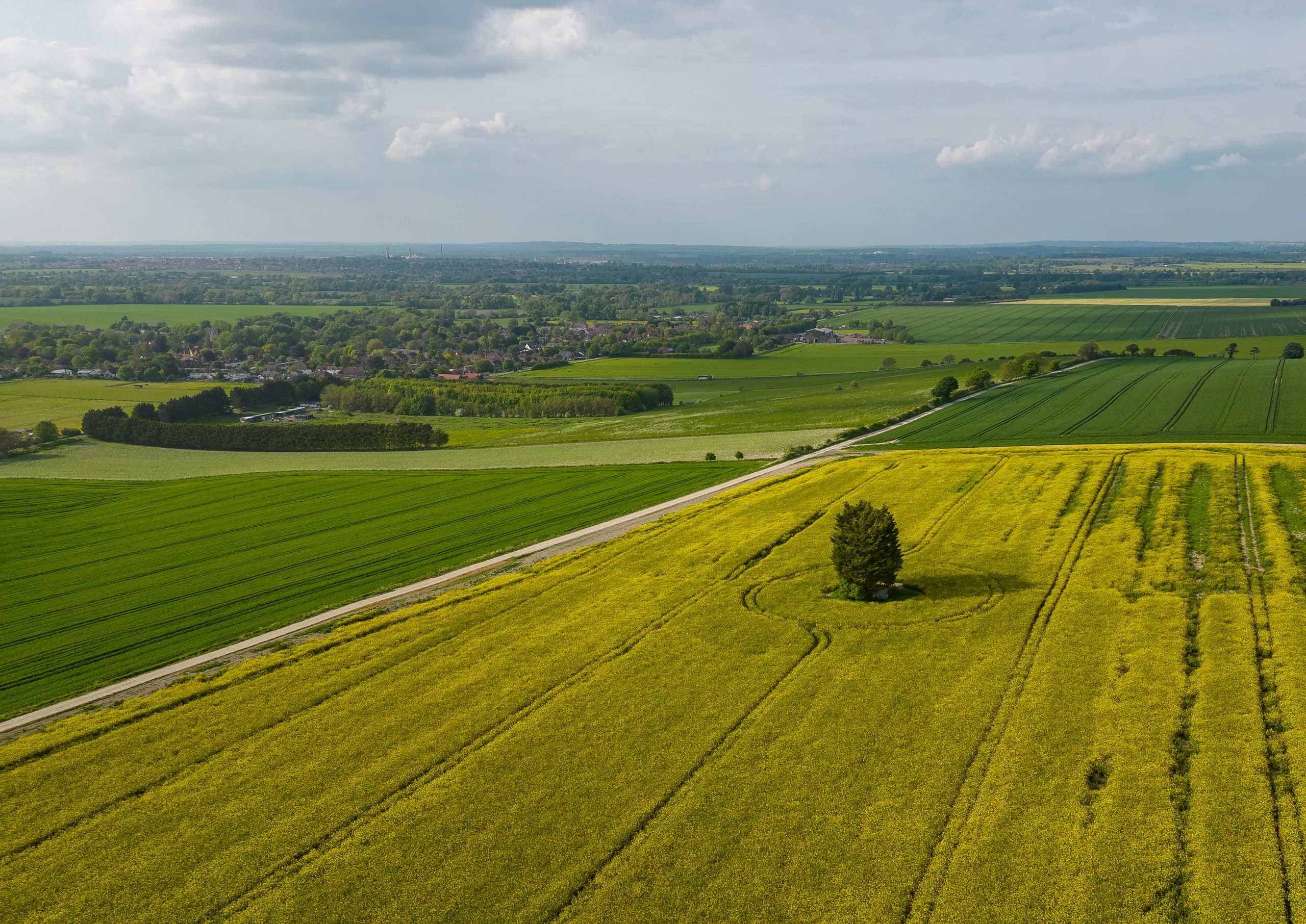 Blewbury Fields, Oxfordshire